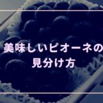 【超簡単】美味しいピオーネの見分け方【注目すべき４つのポイント】