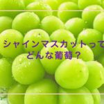 シャインマスカットってどんな葡萄？